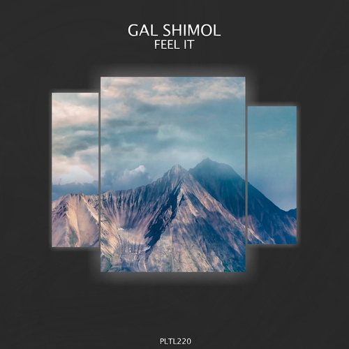 Gal Shimol - Feel It [PLTL220]